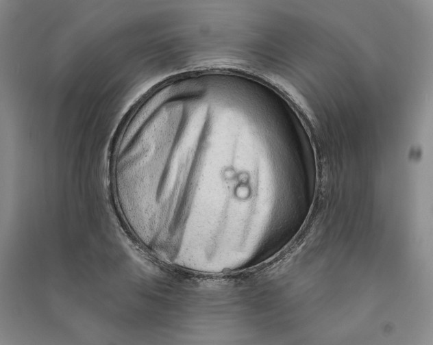 X0000090871031200708171621