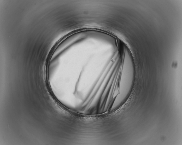 X0000090871032200708171621