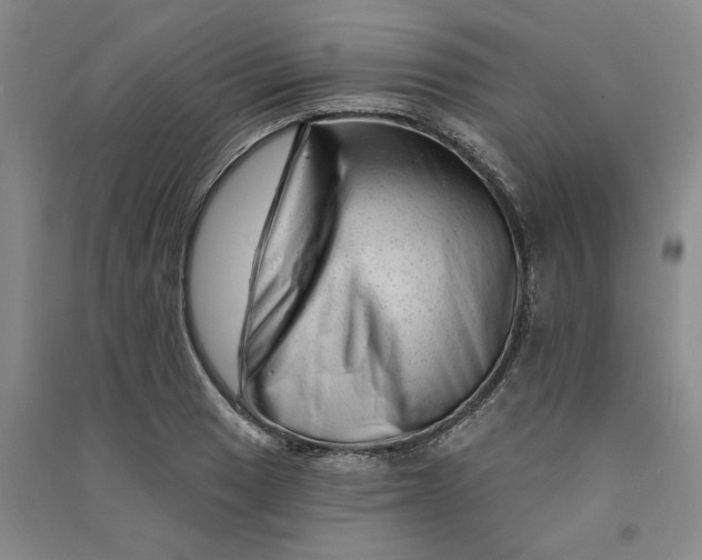 X0000090871033200708171621