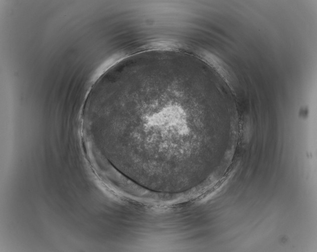 X0000090871034200708171621