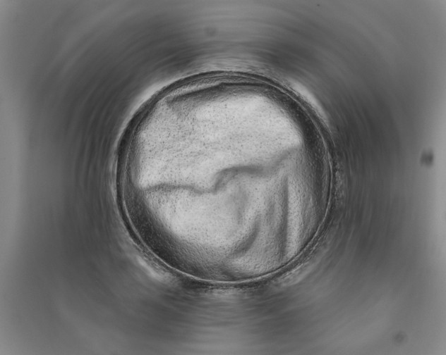 X0000090871035200708171621