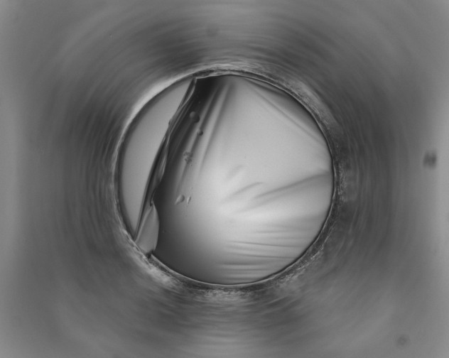 X0000090871036200708171621