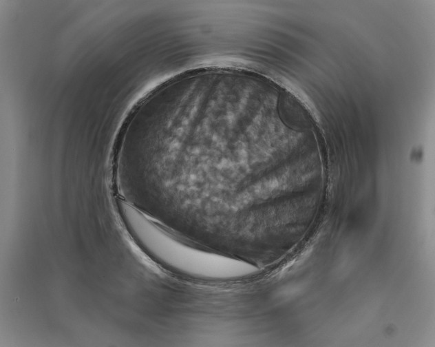 X0000090871037200708171621