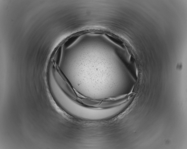 X0000090871038200708171621