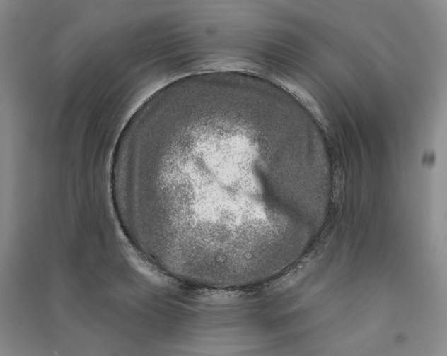 X0000090871039200708171621