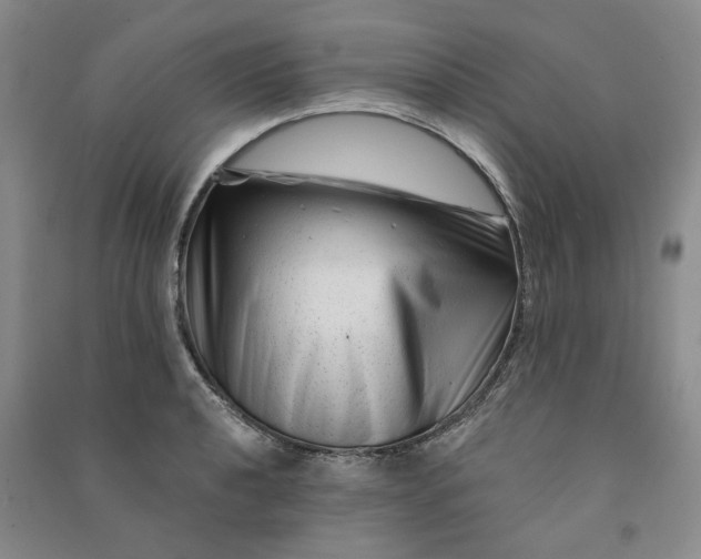 X0000090871040200708171621