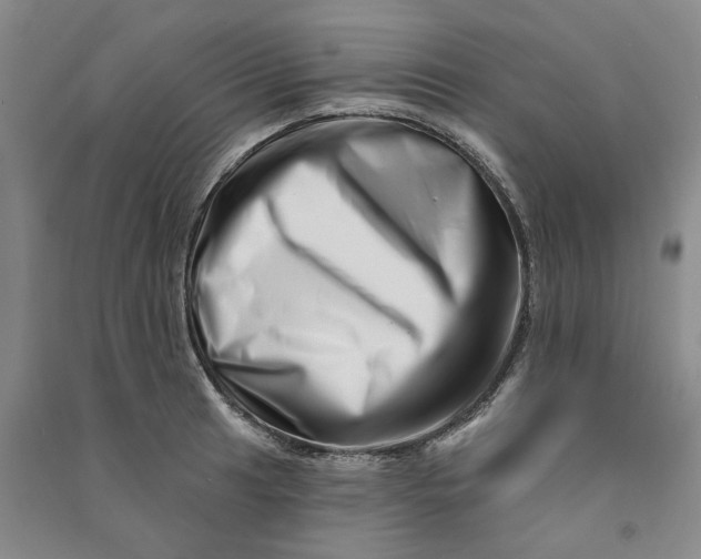 X0000090871041200708171621