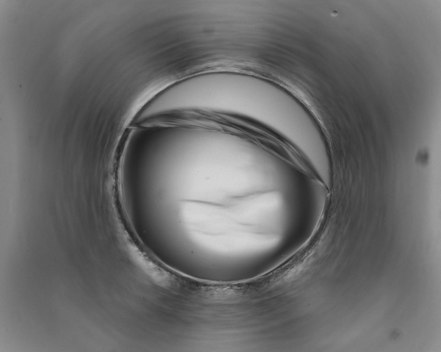 X0000090871042200708171621