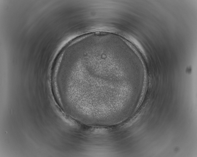 X0000090871043200708171621