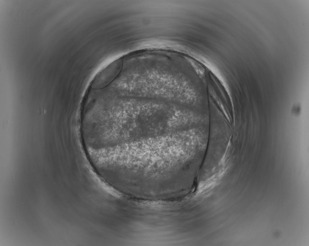 X0000090871045200708171621