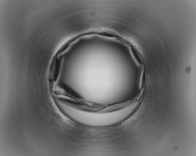 X0000090871046200708171621