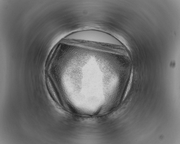 X0000090871047200708171621