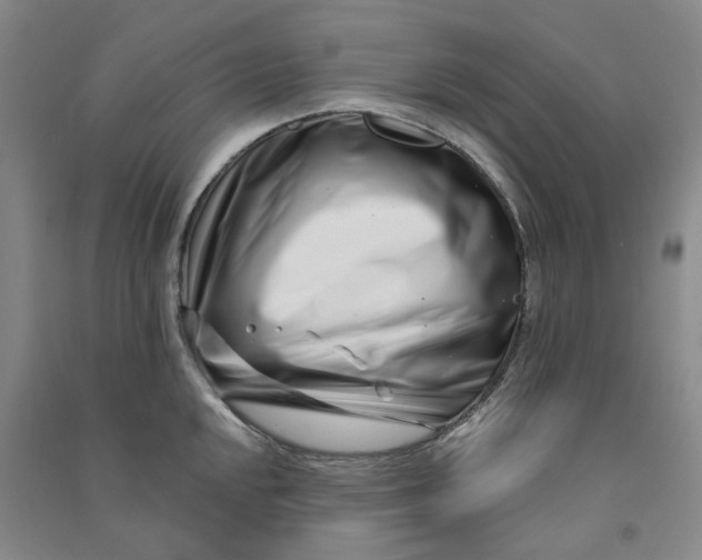 X0000090871048200708171621