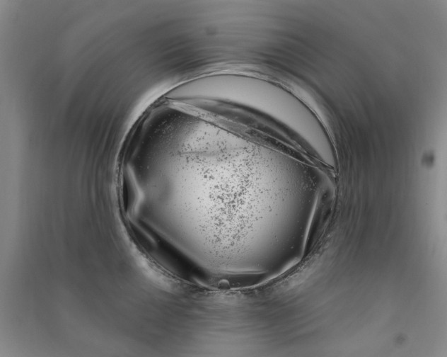 X0000090871050200708171621