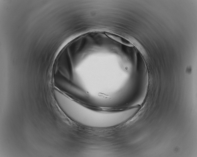 X0000090871052200708171621