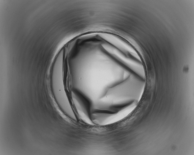 X0000090871053200708171621