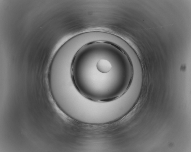 X0000090871054200708171621