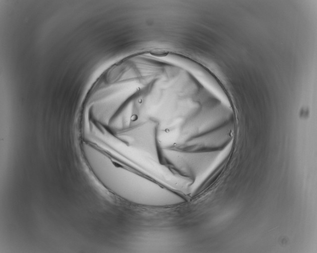 X0000090871056200708171621