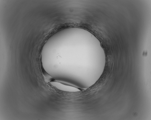 X0000090871057200708171621