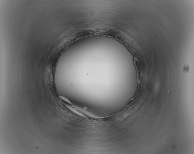 X0000090871058200708171621