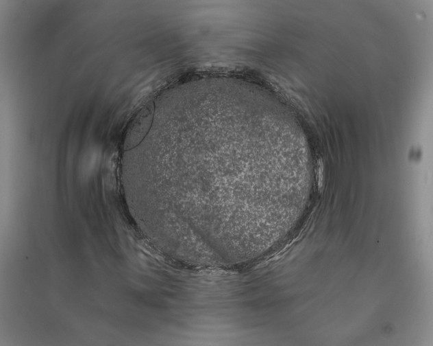 X0000090871059200708171621