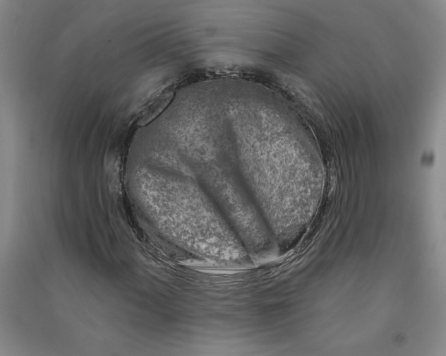 X0000090871060200708171621