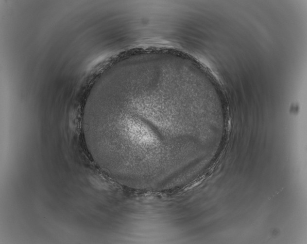 X0000090871063200708171621