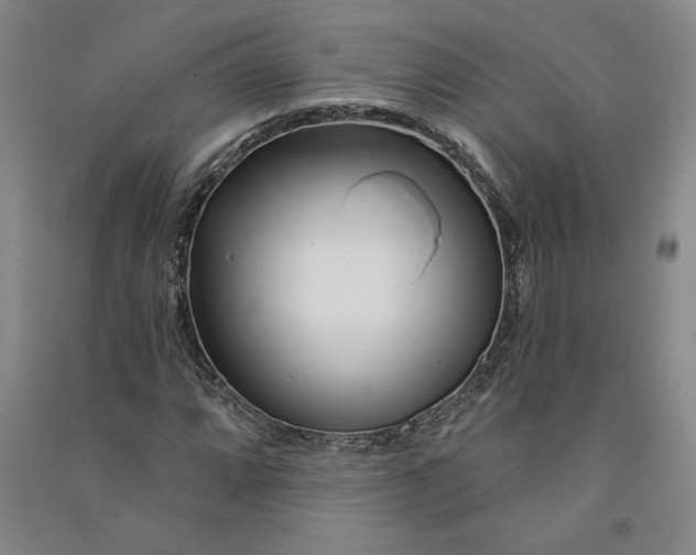 X0000090871064200708171621