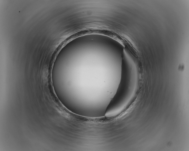 X0000090871065200708171621