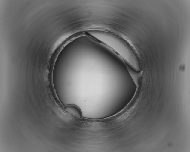 X0000090871066200708171621