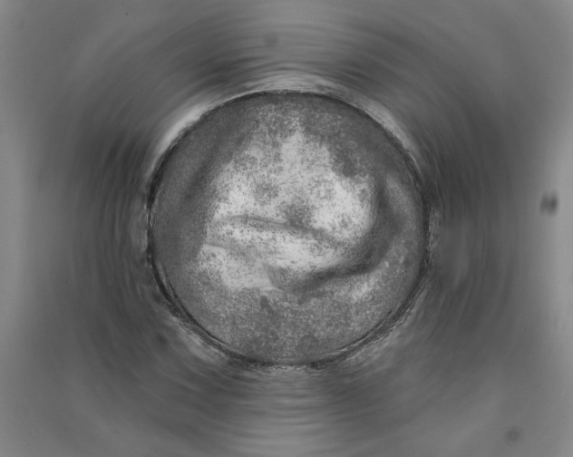 X0000090871067200708171621