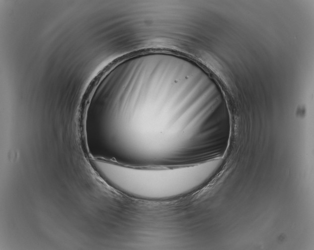 X0000090871068200708171621