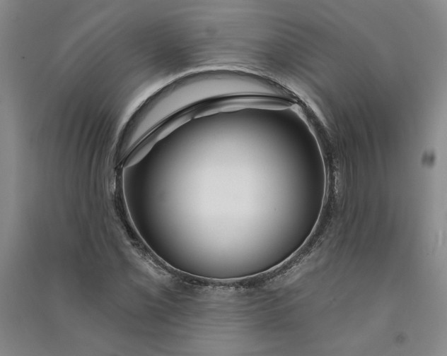 X0000090871069200708171621