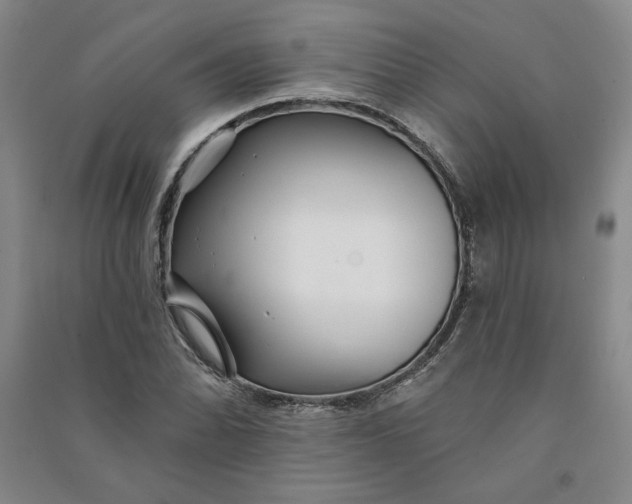 X0000090871070200708171621