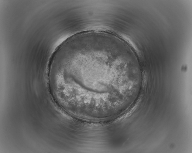 X0000090871071200708171621