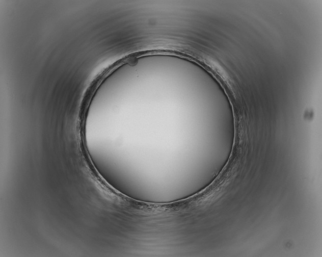 X0000090871072200708171621