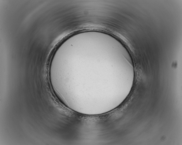 X0000090871074200708171621