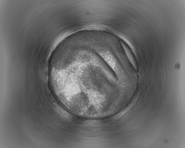 X0000090871075200708171621