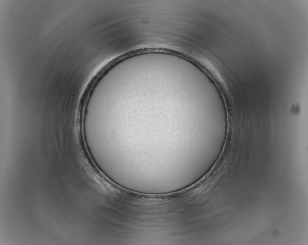 X0000090871076200708171621