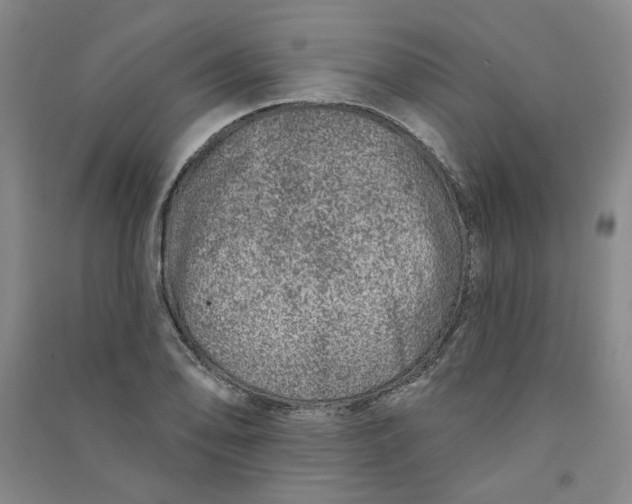 X0000090871078200708171621