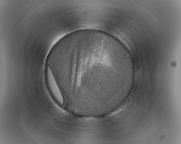 X0000090871079200708171621