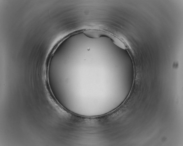 X0000090871080200708171621