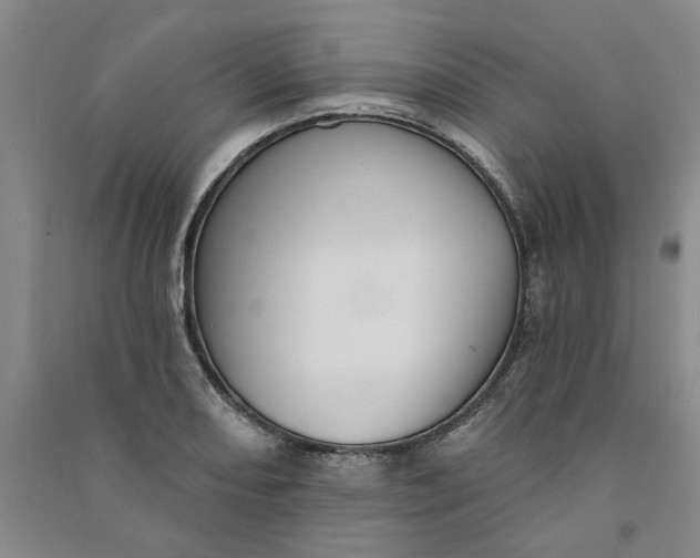 X0000090871082200708171620