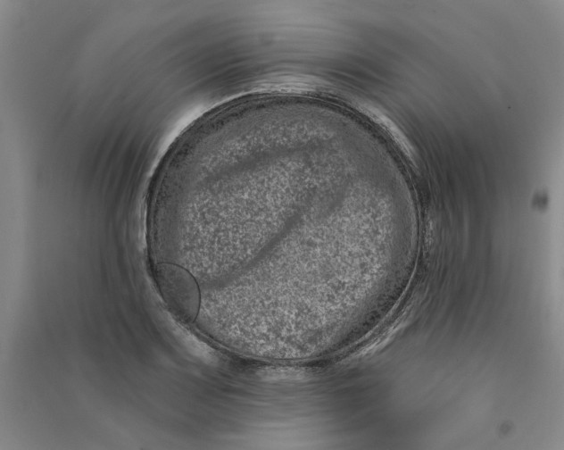 X0000090871083200708171620