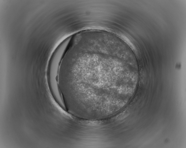 X0000090871084200708171620