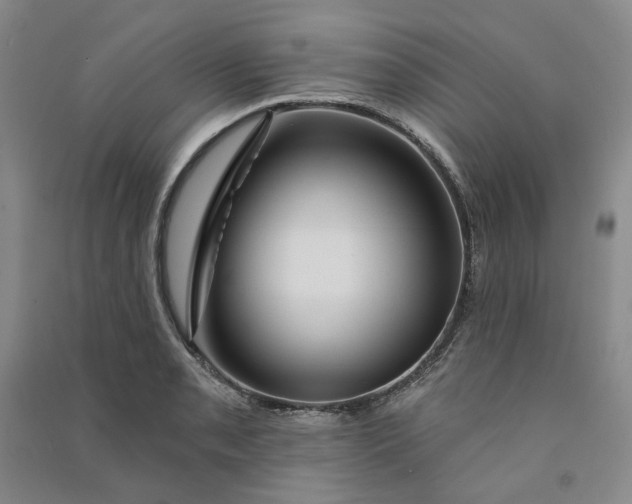 X0000090871085200708171620