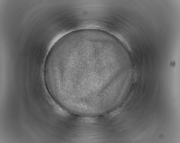 X0000090871086200708171620