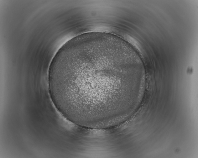 X0000090871087200708171620