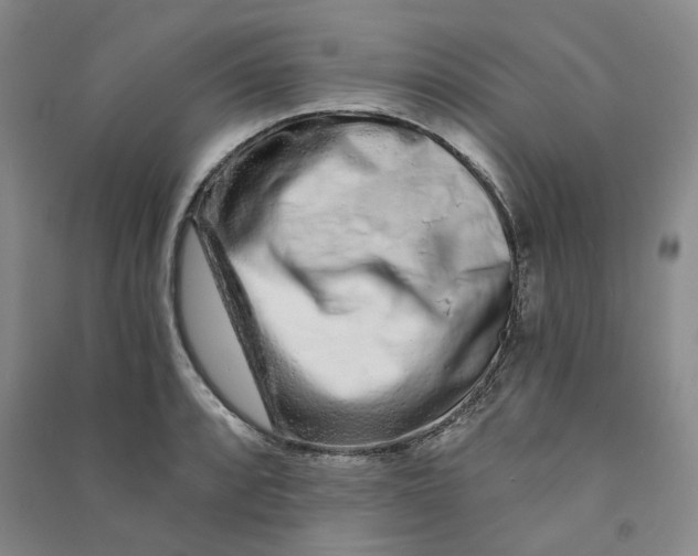 X0000090871088200708171620