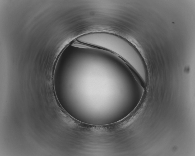 X0000090871089200708171620